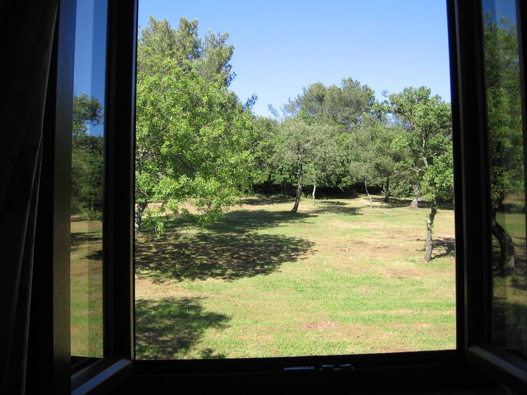 Guest House Caterina Porec Room photo
