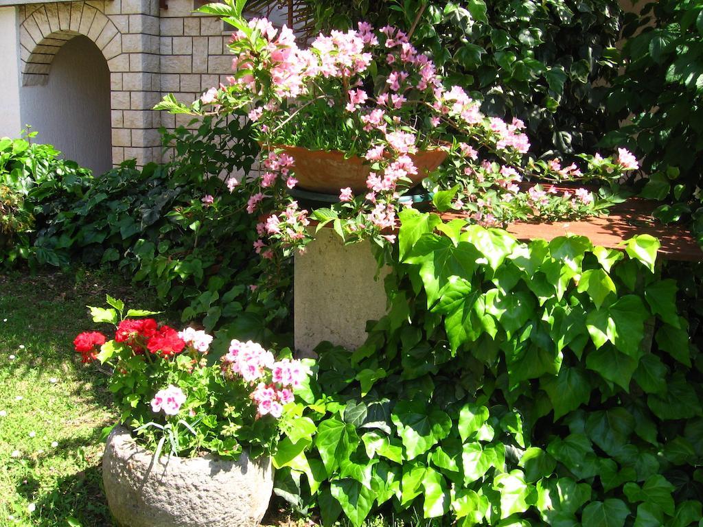 Guest House Caterina Porec Exterior photo